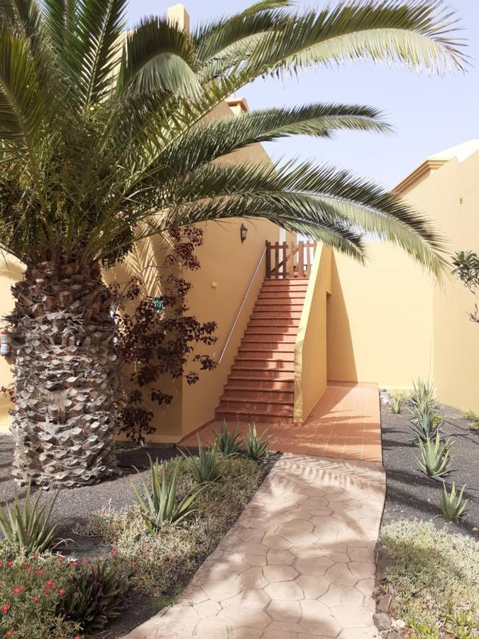 Oasis Waves House Papagayo Daire Corralejo Dış mekan fotoğraf