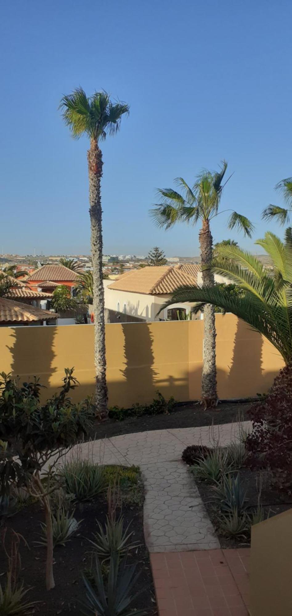 Oasis Waves House Papagayo Daire Corralejo Dış mekan fotoğraf
